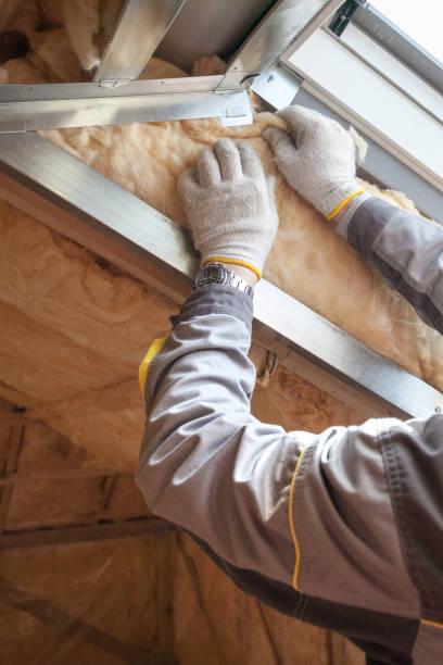 Best Residential Insulation in Los Ranchos, CA