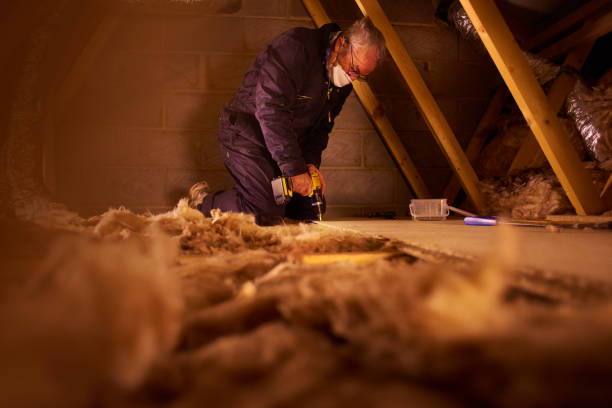 Best Insulation for Specific Applications in Los Ranchos, CA